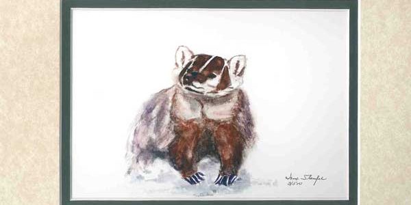 Badger