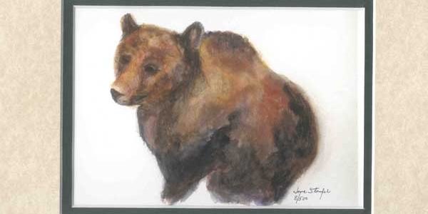Bear