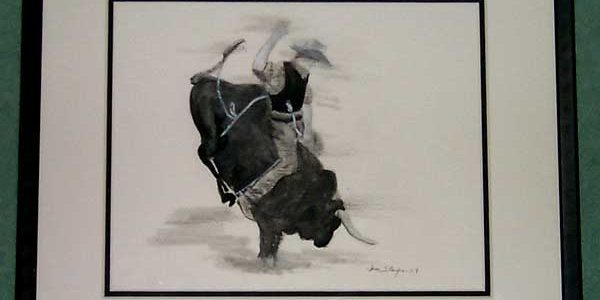 Rodeo — Bull Ride