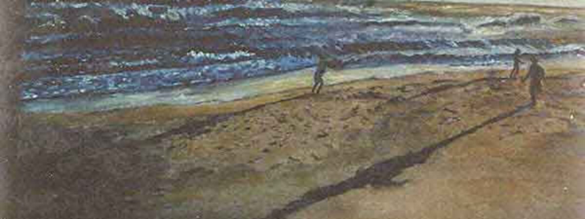 Shadows