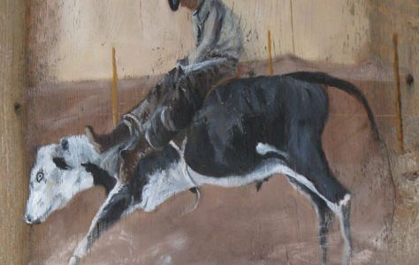 The Steer Rider