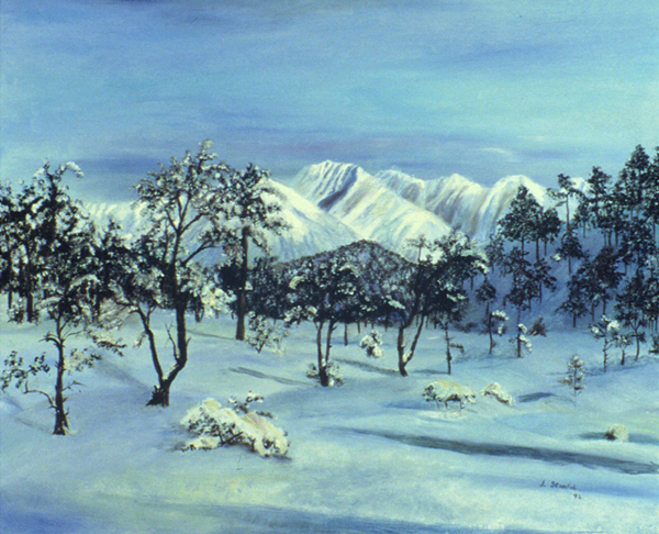 Trail to Dyrhaug by Jane Stanfel
